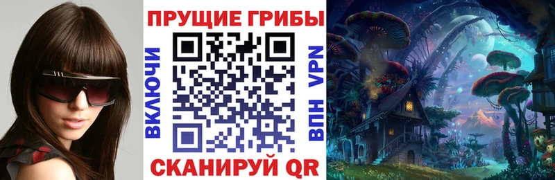 сайты даркнета официальный сайт Калининск Галлюциногенные грибы ЛСД